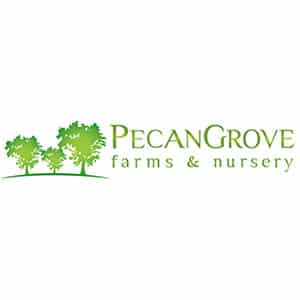 Pecan Grove Farms