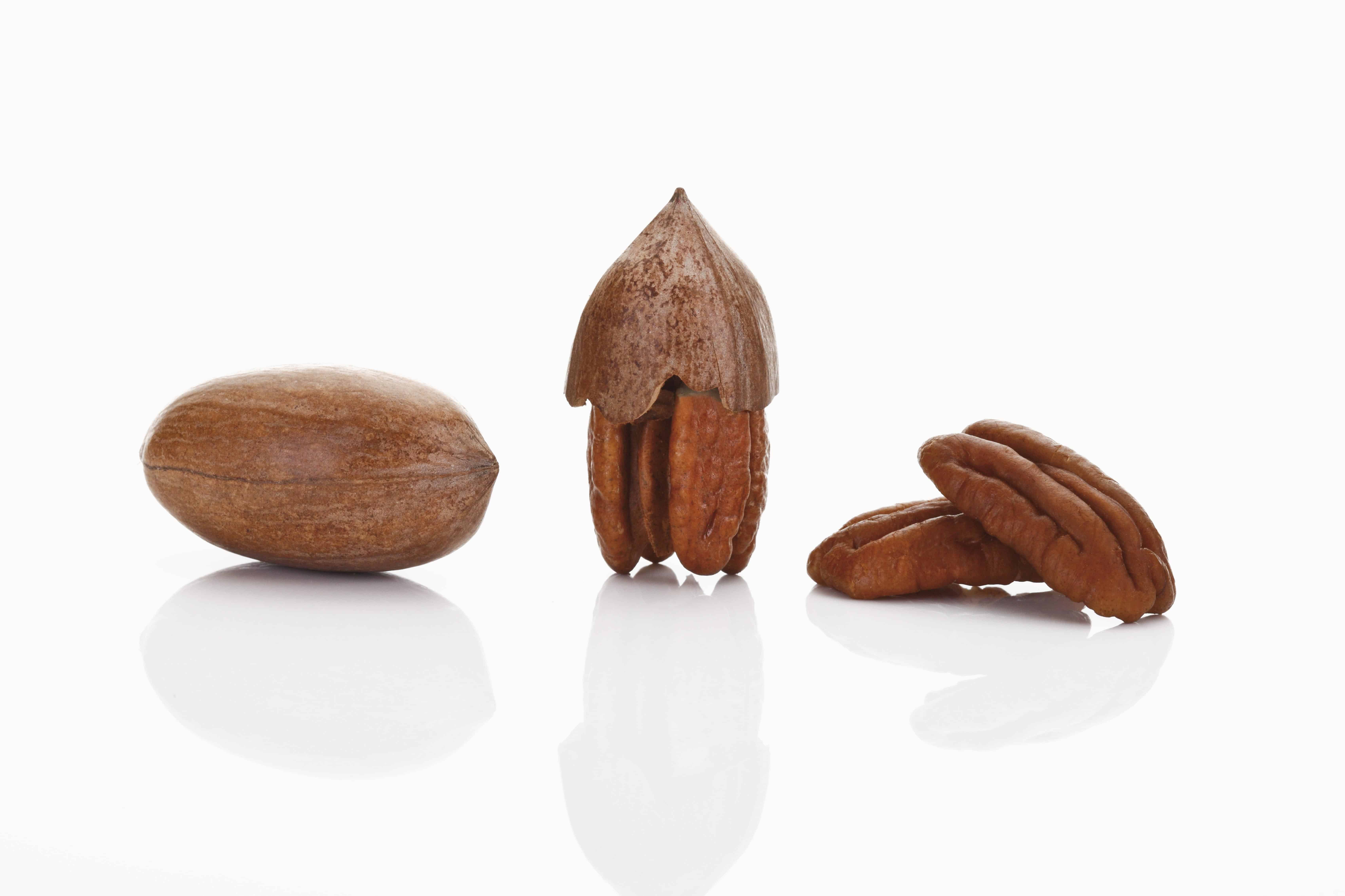 Pecans and Pecan nuts _ ILovePecans