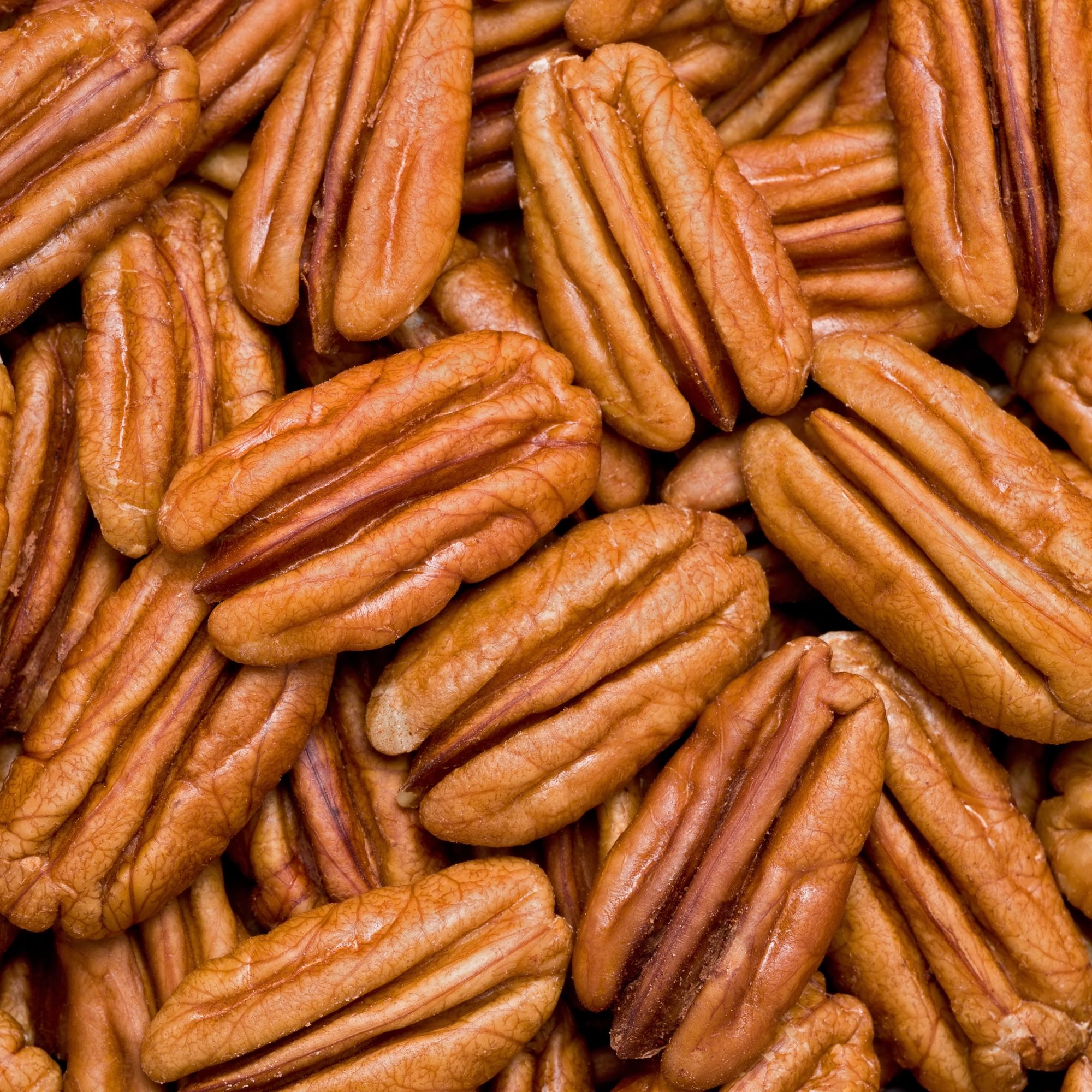 Background texture of shelled pecans.