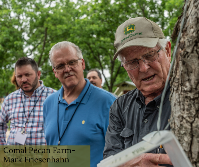 Comal Pecan Farms _ ILovePecans